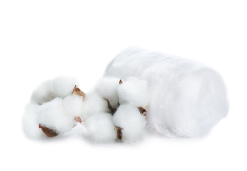 Preview: Beautiful flowers and cotton roll on white background