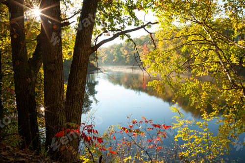 Preview: Calm lake and trees in autumn color with a sunburst in the early morning