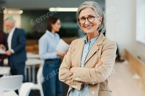 Preview: Attractive gray haired mature woman, smiling senior businesswoman with crossed arms