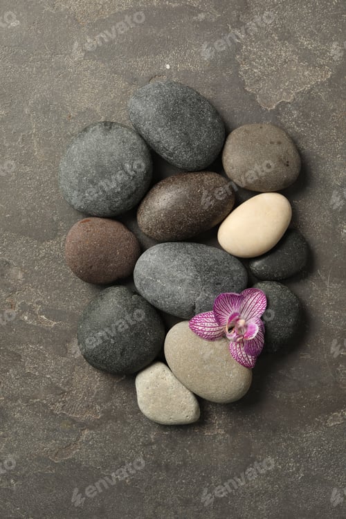 Preview: Spa stones and orchid flower on grey table, flat lay