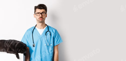 Preview: Tired black dog pug lying near handsome male doctor at veterinary clinic, veterinarian staring
