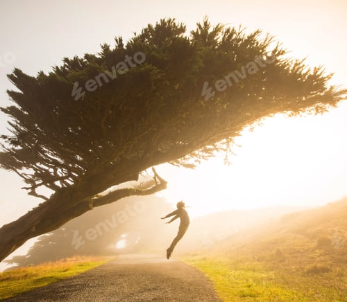 Preview: Concept of free spirit, spirituality, person jumping and being one with nature against the sunlight
