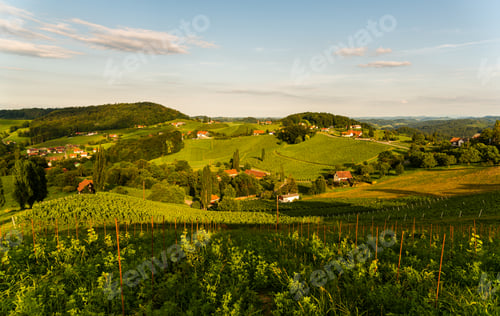 Preview: Grape hills and mountains view from wine street in Styria, Austria ( Sulztal Weinstrasse ) in summer