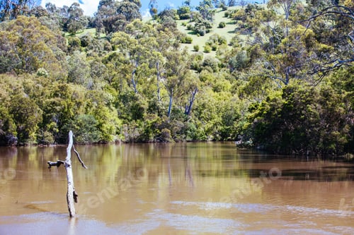 Preview: Mount Lofty Circuit Walk in Melbourne Australia