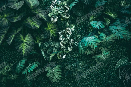 Preview: A background with an abstract design and a close-up texture of green leaves.