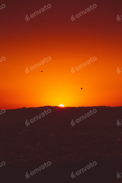 Preview: Sunset orange yellow colored sky background