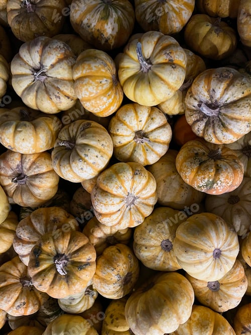 Preview: Flat Lay Pumpkins