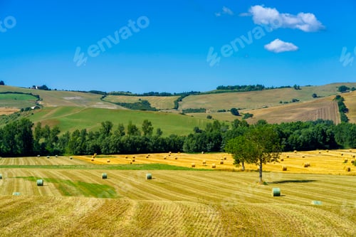 Preview: Rural landscape along the Cassia near Acquapendente, Lazio