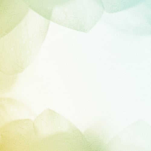 Preview: Sweet Color Flower Petals In Soft Color And Blur Style On Mulberry Paper Texture