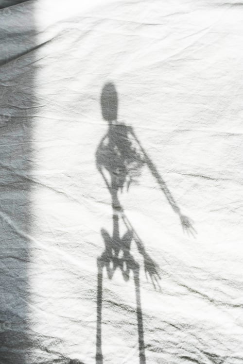Preview: Skeleton Shadow on Light Background.