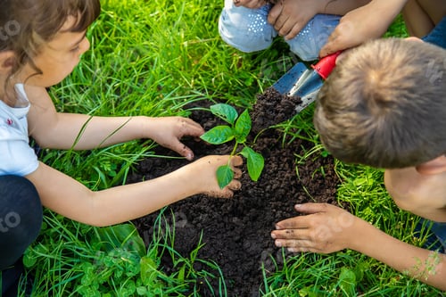 Preview: The child is planting a tree together. Selective focus.