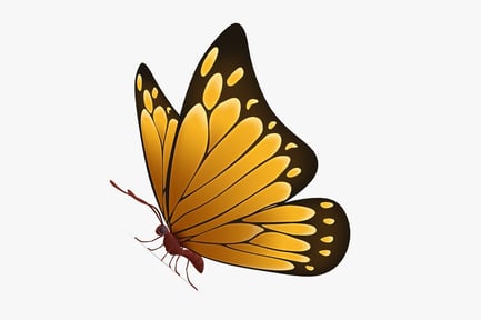 Preview: Stylized Orange Butterfly