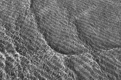 Preview: A grayscale of monochrome shallow sea