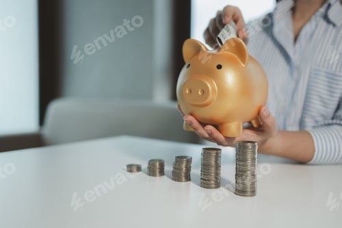 Preview: Accountant is putting money into a piggy bank, Financier is bringing savings methods to clients who