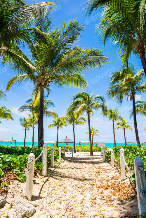 Preview: Beautiful tropical landscape on the exotic resort