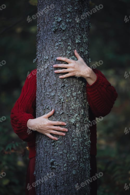 Preview: Person holding tree in forest during daytime under natural light