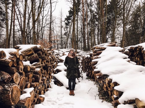 Preview: Woman Stands Near Snow Covered Stacks of Logs