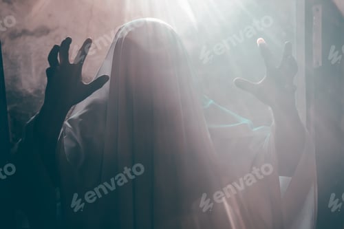 Preview: Halloween concept with ghost in smoky night