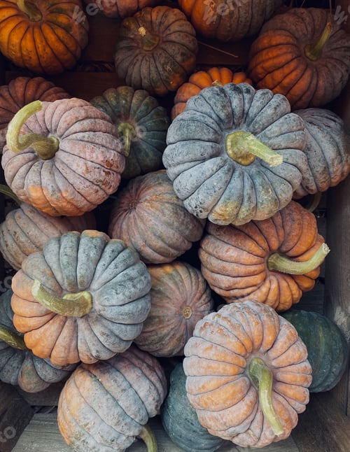 Preview: Pumpkin