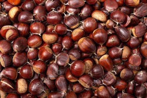 Preview: Sweet Chestnut background
