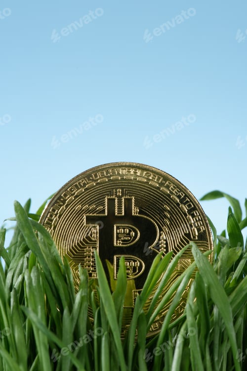 Preview: Close up view of golden bitcoin and green grass isolated on blue