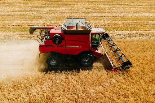 Preview: combine harvesters harvest wheat on a yellow field. Harvester working in the field.