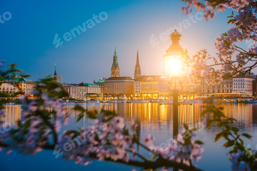 Preview: Burn lantern between branches of cherry blossom flowers on calm and beautiful Alster river and
