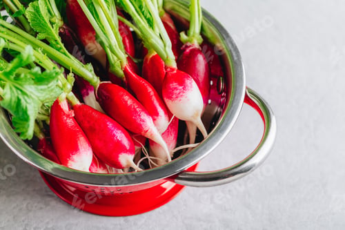Preview: Fresh raw organic radishes in colander