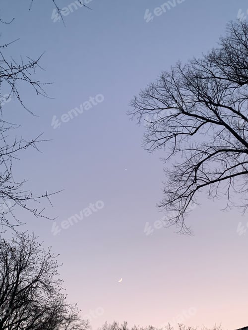 Preview: Venus and the Moon on the evening sky