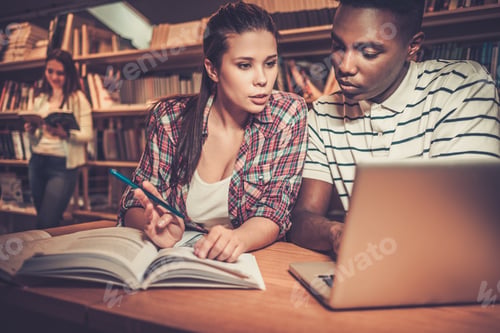 Preview: Multinational group of cheerful students studying in the university library.