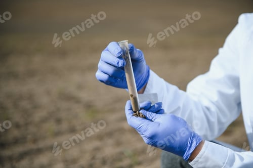 Preview: Laboratory worker holding professional glassware and testing black soil after harvest in the field