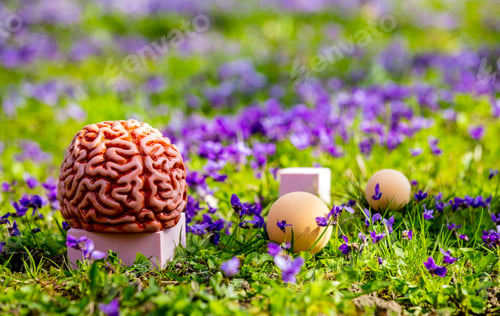 Preview: Human brain on a green meadow with purple flowers. Concept of psychological therapy