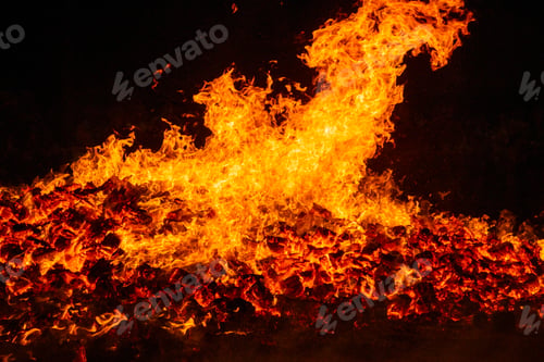 Preview: Fire by night. Flames and embers. Hot and inferno