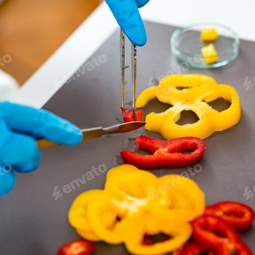 Preview: Quality control food safety inspector working with vegetables in