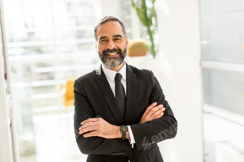 Preview: Portret of bearded handsome businessman