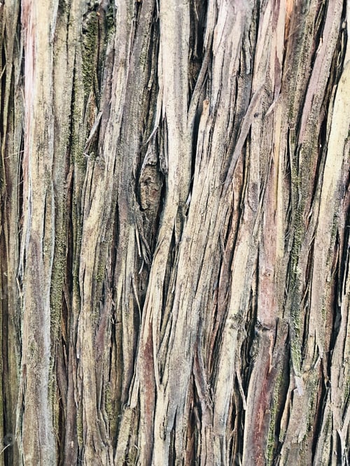 Preview: Closeup shot of an old wooden texture - perfect for background