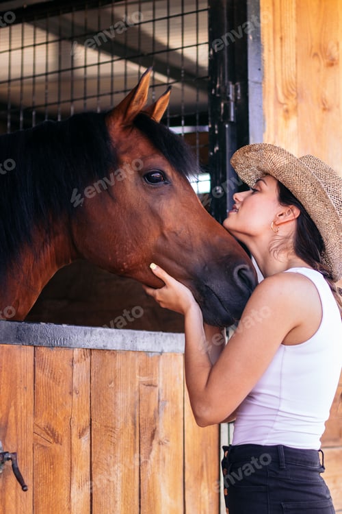 Preview: Woman taking care of his brown horse in the stable