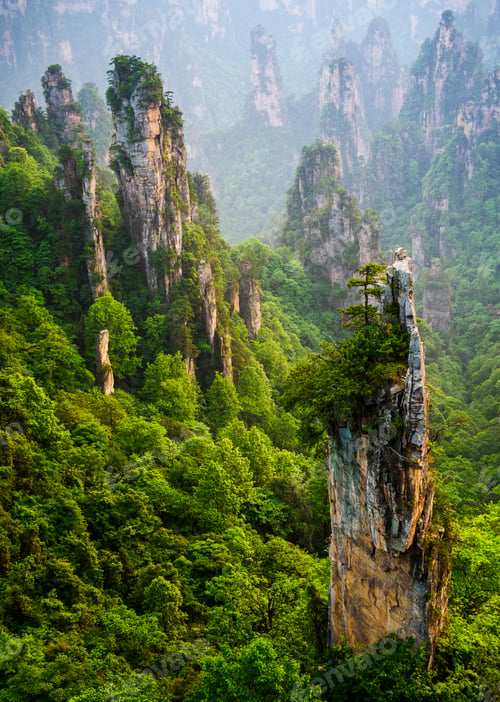 Preview: Zhangjiajie National forest park at sunset, Wulingyuan, Hunan, China