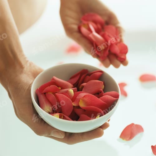 Preview: Woman holding rose petals