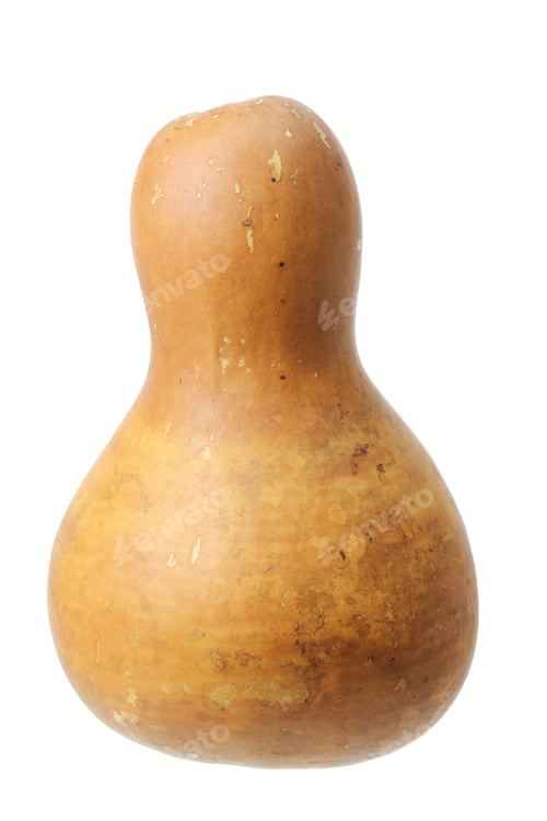 Preview: Chinese Gourd
