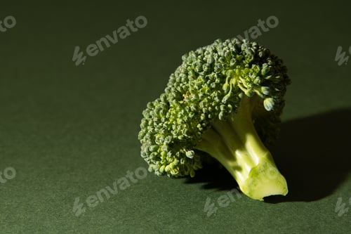 Preview: Fresh raw broccoli on a green background. Place for text.