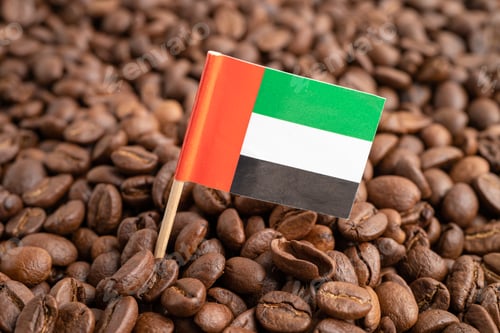 Preview: UAE United Areb Emirates or Great Britain flag on coffee bean, import export trade online commerce.
