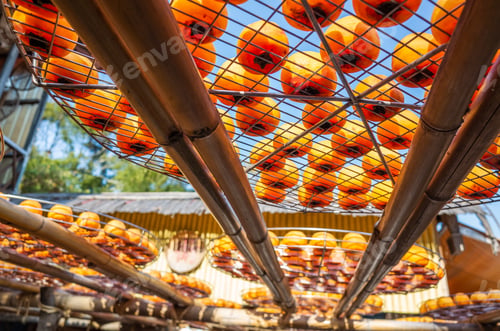 Preview: Dried Up Persimmon Under The Sun In Xinpu Township, Hsinchu, Taiwan