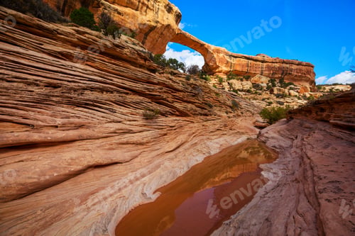 Preview: Natural bridge