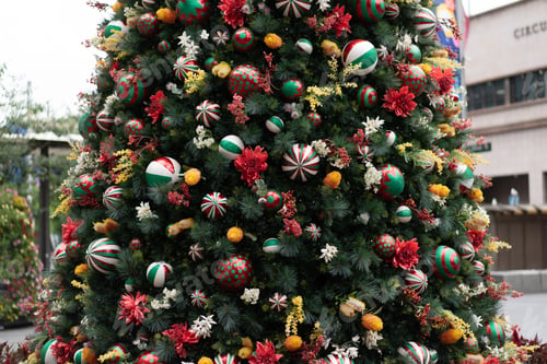 Preview: Christmas Tree outdoors