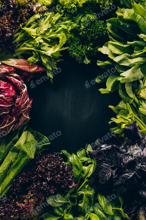 Preview: top view of different leafy vegetables and herbs on grey dark table