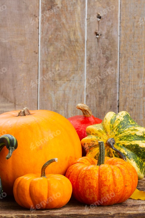 Preview: pumpkin on table