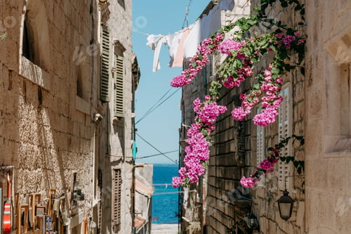 Preview: Picturesque alley with flowers and plants in idyllic Mediterranean town of Korcula, Croatia