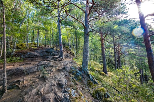 Preview: Rampestreken in Andalsnes, Norway. A famous tourist viewpoint