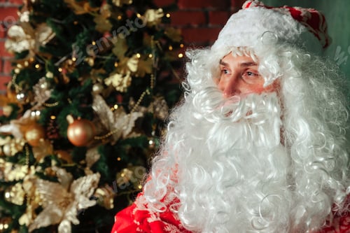 Preview: Portrait of an emotional Santa Claus in decorated living room with Christmas tree